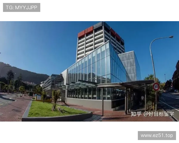 新西兰中场配置全面解析